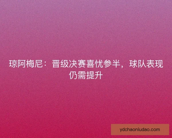 琼阿梅尼：晋级决赛喜忧参半，球队表现仍需提升