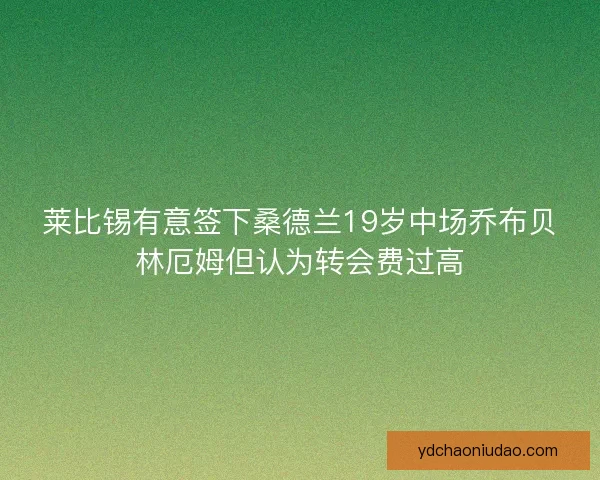 莱比锡有意签下桑德兰19岁中场乔布贝林厄姆但认为转会费过高
