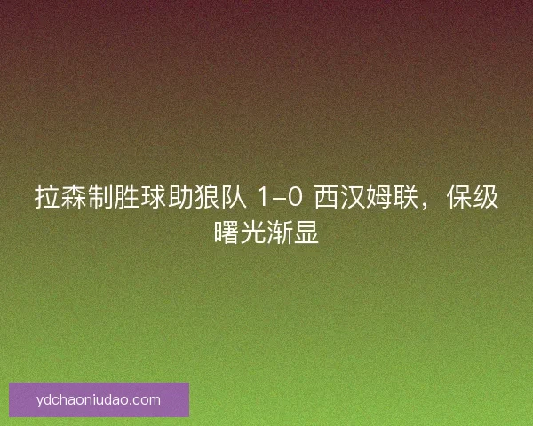 拉森制胜球助狼队 1-0 西汉姆联，保级曙光渐显