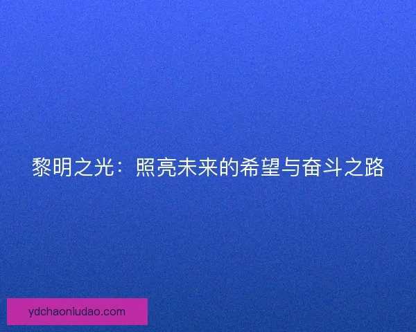 黎明之光：照亮未来的希望与奋斗之路
