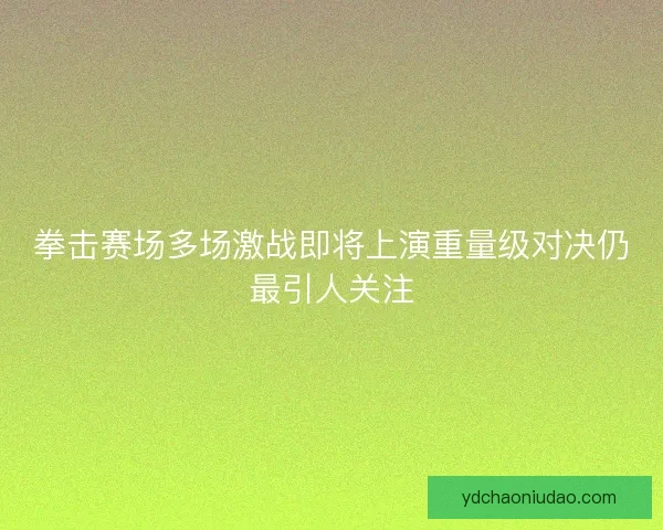 拳击赛场多场激战即将上演重量级对决仍最引人关注