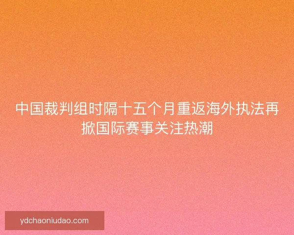 中国裁判组时隔十五个月重返海外执法再掀国际赛事关注热潮 中国裁判组时隔十五个月重返海外执法再掀国际赛事关注热潮