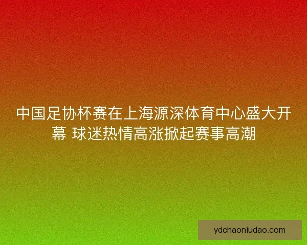 中国足协杯赛在上海源深体育中心盛大开幕 球迷热情高涨掀起赛事高潮 中国足协杯赛在上海源深体育中心盛大开幕 球迷热情高涨掀起赛事高潮